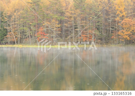 霧と雨の御射鹿池 霧と雨の御射鹿池 133165316