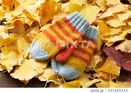 編みもののイメージ 手袋 編みもののイメージ 手袋 133165353