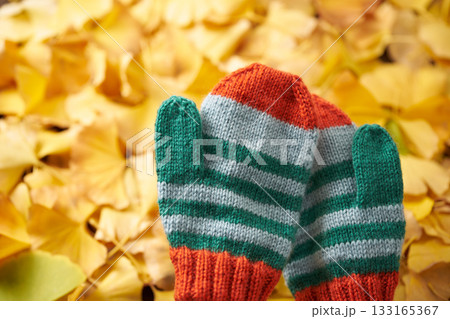 編みもののイメージ 手袋 編みもののイメージ 手袋 133165367