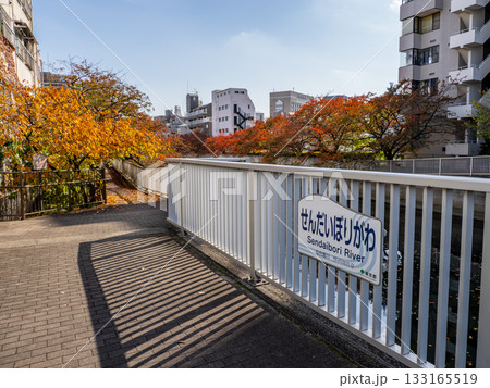「仙台堀川」の河川名表示(東京都江東区) 「仙台堀川」の河川名表示(東京都江東区) 133165519