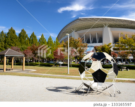 埼玉スタジアム2002　埼玉県　 133165597