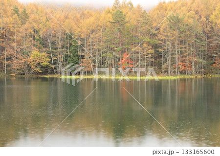 雨の御射鹿池 133165600