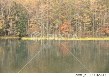 雨の御射鹿池 133165613