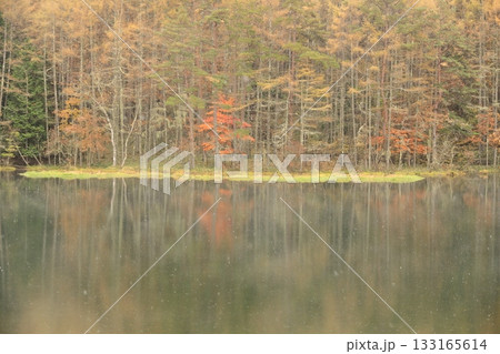 雨の御射鹿池 133165614