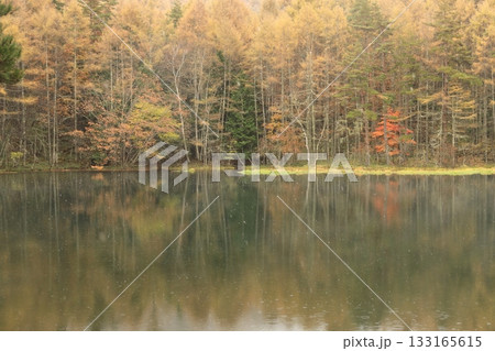 雨の御射鹿池 133165615