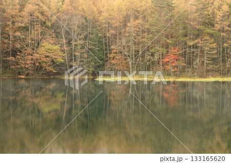 雨の御射鹿池 雨の御射鹿池 133165620