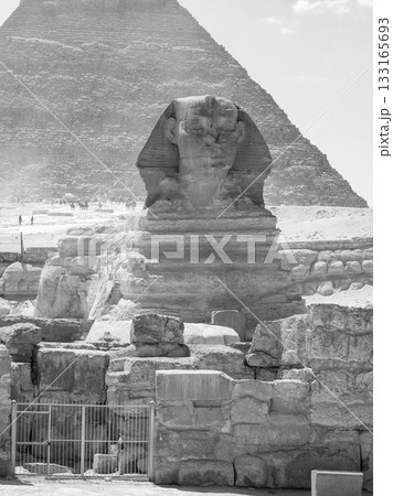 エジプト・ギザ　スフィンクス 133165693