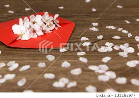Cherry blossoms carrying the news of spring 133165977