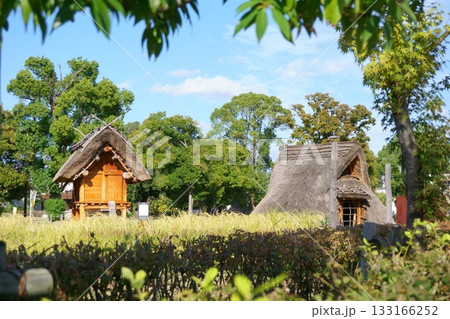 高床倉庫と竪穴住居　あいち朝日遺跡ミュージアム 133166252