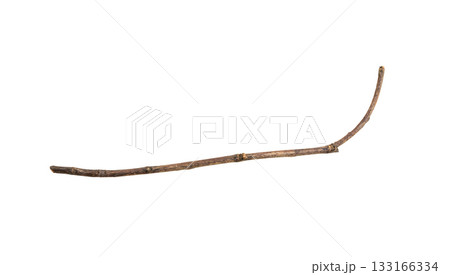 Dry tree branches isolated on white background Dry tree branches isolated on white background 133166334