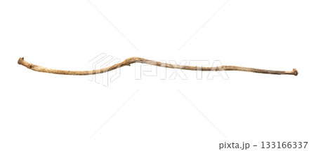 Dry tree branches isolated on white background 133166337