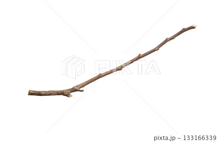 Dry tree branches isolated on white background 133166339