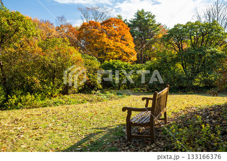 秋の赤城自然園 散策路のベンチ 群馬県 秋の赤城自然園 散策路のベンチ 群馬県 133166376