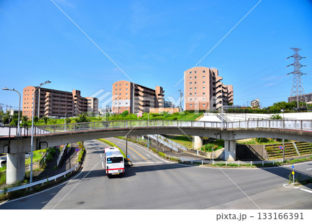 《愛知県》小牧市桃花台ニュータウン 133166391