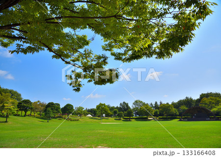 《愛知県》小牧市桃花台ニュータウン　桃花台中央公園 133166408