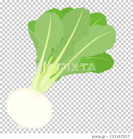 Illustration of the seven herbs of spring, Suzuna 133167027