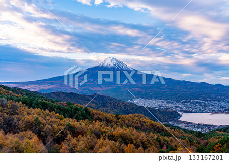 【山梨県】カラマツの黄葉と雪化粧した富士山 133167201