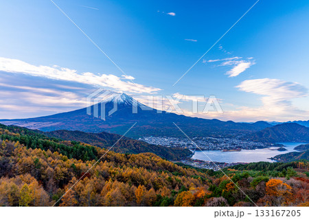 【山梨県】カラマツの黄葉と雪化粧した富士山 【山梨県】カラマツの黄葉と雪化粧した富士山 133167205