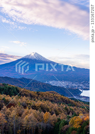 【山梨県】カラマツの黄葉と雪化粧した富士山 133167207