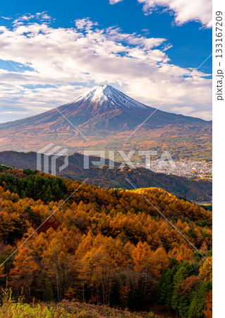【山梨県】カラマツの黄葉と雪化粧した富士山 133167209