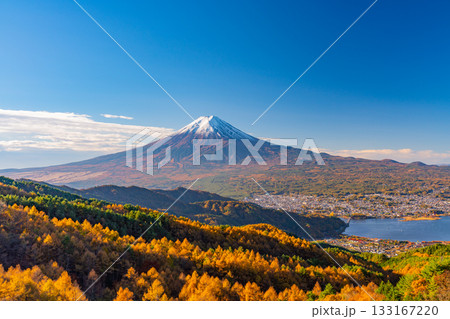 【山梨県】カラマツの黄葉と雪化粧した富士山 133167220