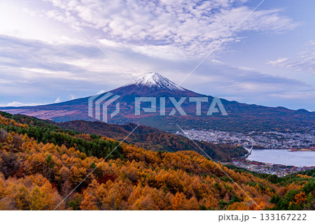 【山梨県】カラマツの黄葉と雪化粧した富士山 133167222
