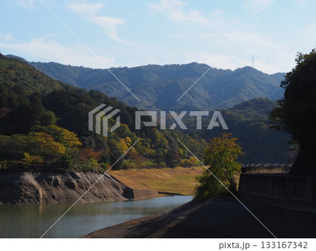 大阪 新滝の池 秋 大阪 新滝の池 秋 133167342