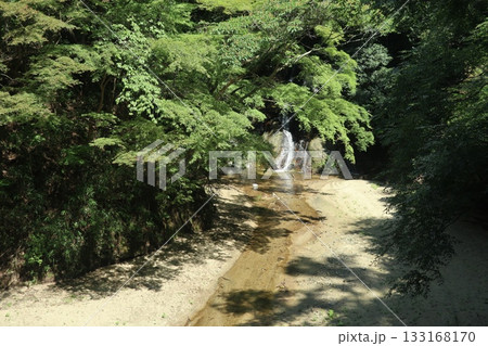 六甲山の大師道 六甲山の大師道 133168170