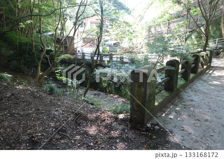 六甲山の大師道 133168172
