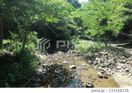 六甲山の大師道 六甲山の大師道 133168176