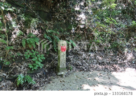 六甲山の大師道 六甲山の大師道 133168178