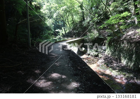 六甲山の大師道 133168181