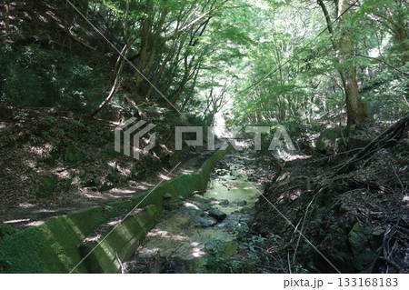 六甲山の大師道 133168183