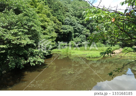 六甲山の大師道 六甲山の大師道 133168185