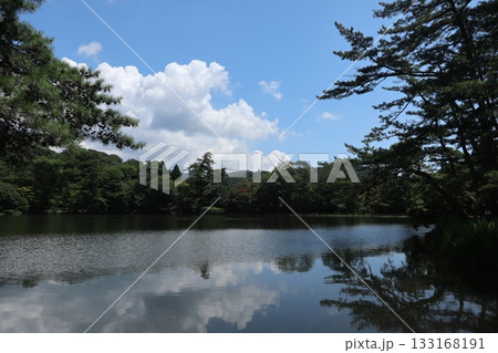 六甲山の修法ヶ原池 六甲山の修法ヶ原池 133168191