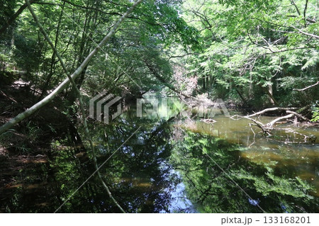 六甲山の登山道(再度公園~森林公園ルート) 六甲山の登山道(再度公園~森林公園ルート) 133168201