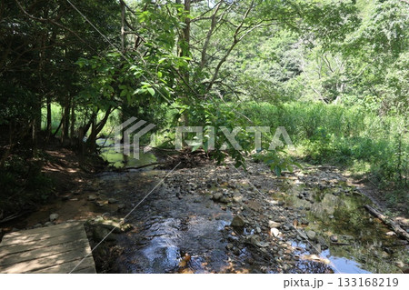 六甲山の登山道（森林公園～谷上ルート） 133168219