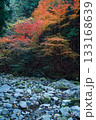 紅葉 紅葉 133168639