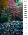 紅葉 紅葉 133168640