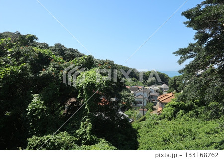 六甲山の登山道(塩屋~須磨浦山上遊園ルート) 六甲山の登山道(塩屋~須磨浦山上遊園ルート) 133168762