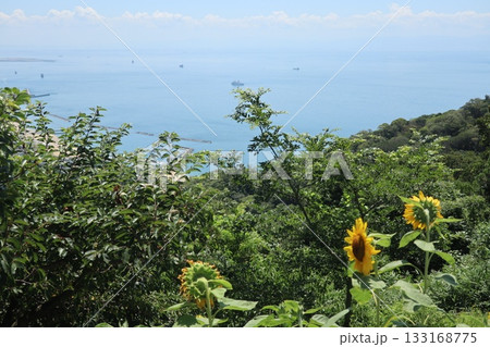 須磨浦山上遊園から見た瀬戸内海 須磨浦山上遊園から見た瀬戸内海 133168775