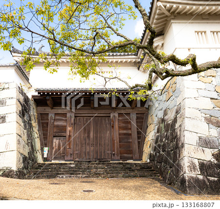 兵庫県たつの市にある秋の龍野城埋門の風景 兵庫県たつの市にある秋の龍野城埋門の風景 133168807