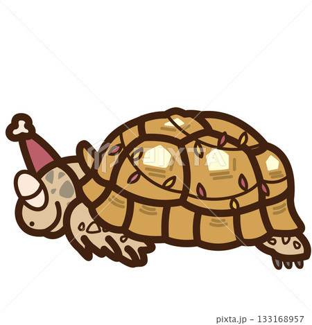 クリスマス サンタ帽をかぶったケヅメリクガメ クリスマス サンタ帽をかぶったケヅメリクガメ 133168957