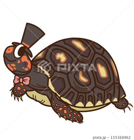 蝶ネクタイと帽子をかぶって仮装をするアカアシガメ 蝶ネクタイと帽子をかぶって仮装をするアカアシガメ 133168962