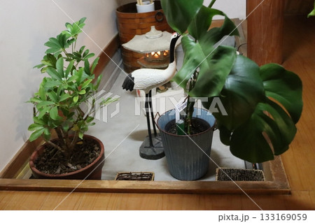 坪庭 坪庭 133169059