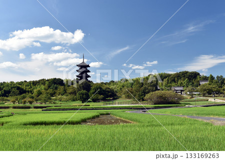 岡山 吉備路 備中国分寺の五重塔 133169263