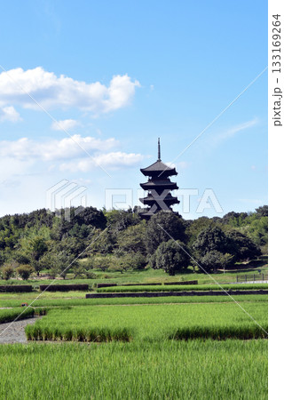 岡山 吉備路 備中国分寺の五重塔 133169264