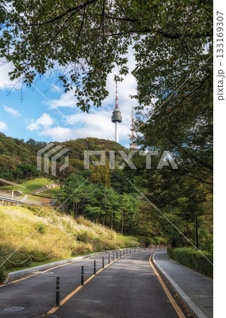 Road in Namsan Park with N Seoul Tower 133169307