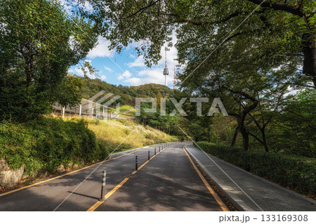 Road in Namsan Park with N Seoul Tower 133169308