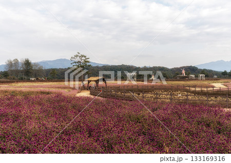 Goseokjeong Flower Garden Goseokjeong Flower Garden 133169316